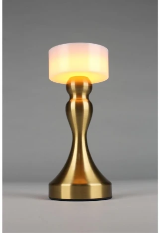 Настольная лампа светодиодная Omnilux OML-40304-01 (220V)