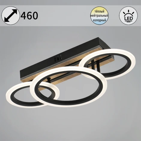 Потолочная люстра светодиодная на штанге с регулировкой цветовой температуры Reluce 00330-0.3-2+1