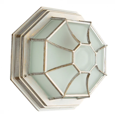 Потолочный светильник уличный Arte Lamp Pegasus A3121PF-1WG (220V, IP44)