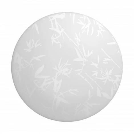 Настенно-потолочный светильник Gauss Decor 941428221