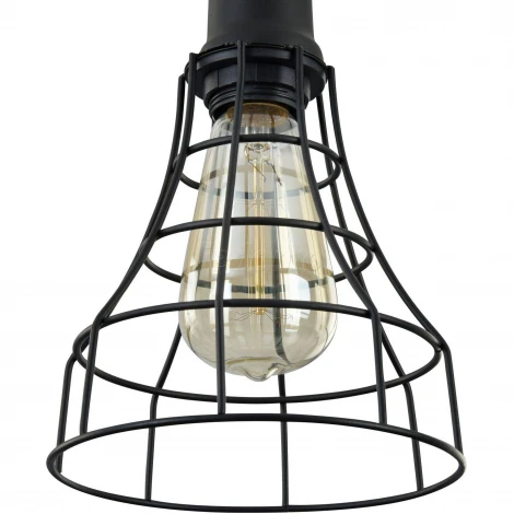 Подвесной светильник Maytoni Denver T449-PL-01-B