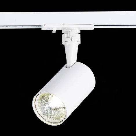 Трековый светильник ST Luce Cami ST351.546.10.36 (LED, 220V, круглые, IP22)