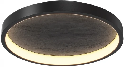 Потолочный светильник круглый Maytoni Orign MOD311CL-L27B3K (LED, 220V, круглые)