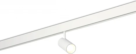 Трековый светильник магнитный 48V 10W Donolux Alpha DL20604WW10W (LED, круглые)