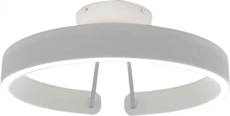 Потолочный светильник круглый светодиодный с пультом Mizi'en Leo MZ31371-400-PW (220V, кольцо)