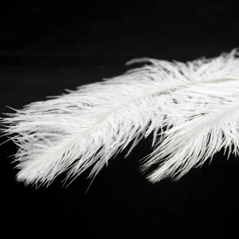 Люстра подвесная LSP-8601 (220V, на проводе, перо, IP21)