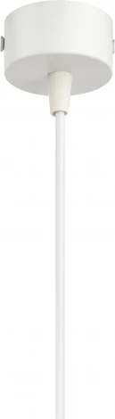 Подвесной светильник ЭРА PL19 WH (220V, на проводе)