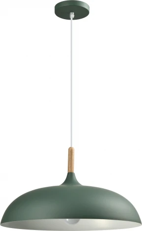 Подвесной светильник Moderli Hygo V11453-1P