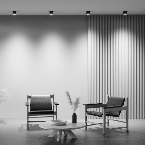 Накладной потолочный светильник Maytoni Rendo C095CL-GX53-B (220V, круглые, IP44)