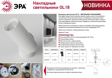 Спот карданный ЭРА OL18 BK (220V)
