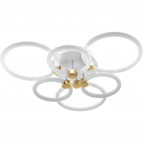 Потолочная люстра светодиодная с ДУ Ritter Ottimo 51613 6