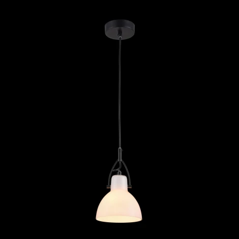 Подвесной светильник Maytoni Daniel MOD407-PL-01-B