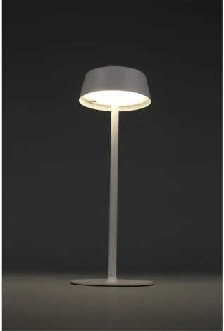 Настольная лампа светодиодная Omnilux OML-40514-01 (220V, гриб)