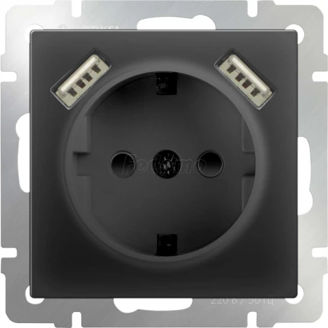 Розетка встраиваемая с заземлением, шторками и двумя USB Werkel, черный