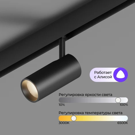 Трековый светильник магнитный светодиодный 48V 12W Hesby Lighting ElDeko HSBL_0238