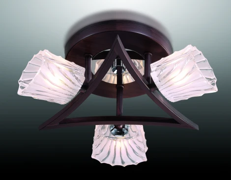 Потолочная люстра Odeon Light Okino 2236/3C