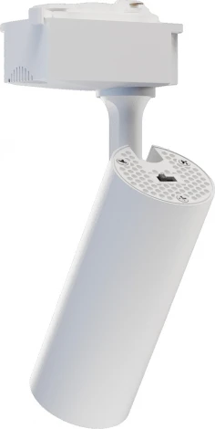 Трековый светильник светодиодный однофазный Lucia Tucci LTP-T020-30W-W (220V, круглые)