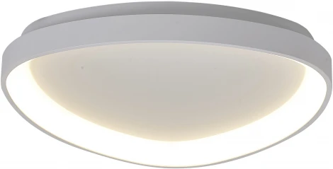 Потолочный светильник Mantra Niseko 8629 (регулировка яркости, LED, 220V, пульт управления)
