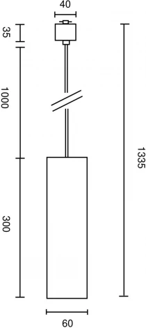 Трековый подвесной светильник Focus Unity GU10 50Вт (однофазный) Maytoni Technical TR025-1-GU10-MG (220V, круглые)