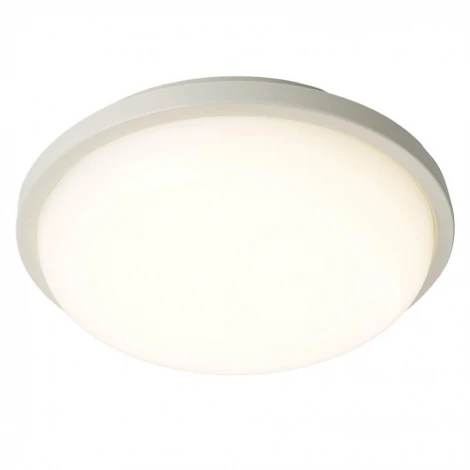 Настенно-потолочный светильник Feron 51513