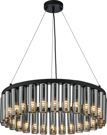 Подвесная люстра Favourite Slang 4504-30P (220V, на тросе, круглые)