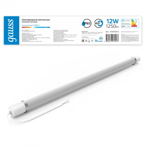 Настенно-потолочный светильник светодиодный Gauss 143424312