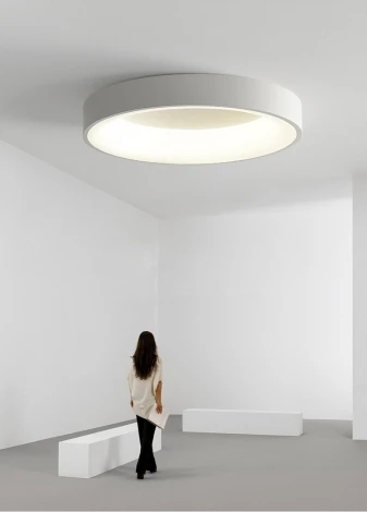 Потолочный светильник Moderli Piero V2282-CL