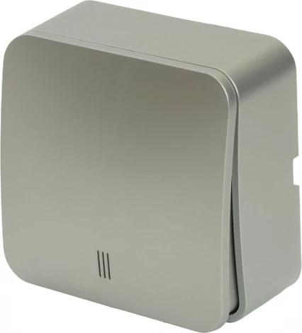 Выключатель одноклавишный с подсветкой (серебро) Stekker София 49296