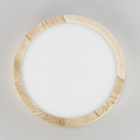 Настенно-потолочный светильник Citilux Бейсик CL738122N (регулировка яркости, LED, 220V, круглые, IP40)