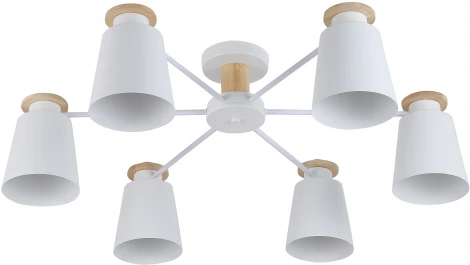 Люстра потолочная на штанге Adna 9112-306 6 * Е27 40 Вт (220V)