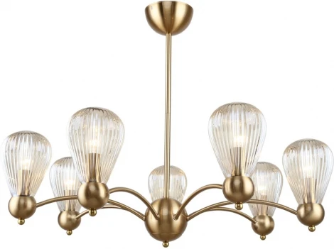 Потолочная люстра на штанге Lussole LGO LSP-8883 (220V)