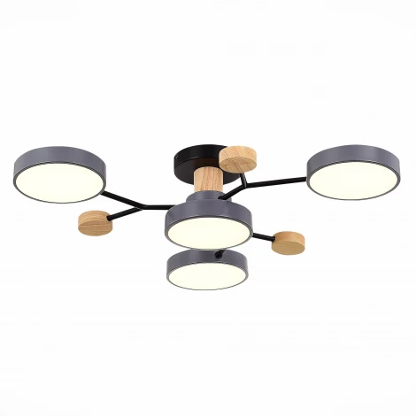 Потолочная люстра на штанге Evoluce Faema SLE6006-702-04