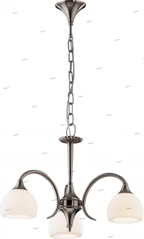 Подвесная люстра Odeon Light Adriana 1602/3