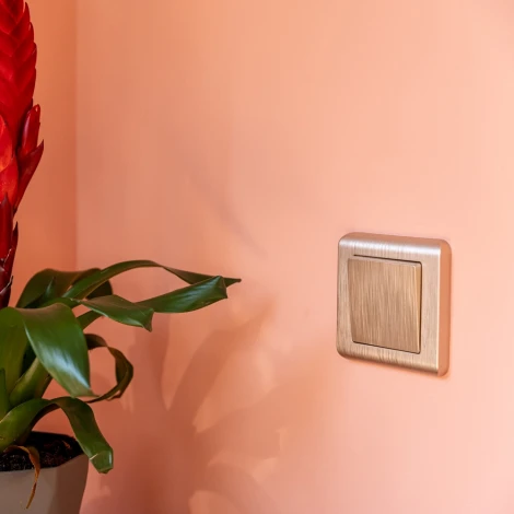 Рамка на 1 пост Stream (шампань) Werkel W0012111 (a051284)