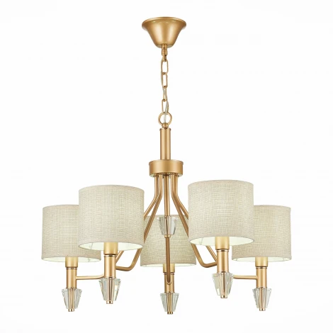 Подвесная люстра Evoluce Vilede SLE107003-05