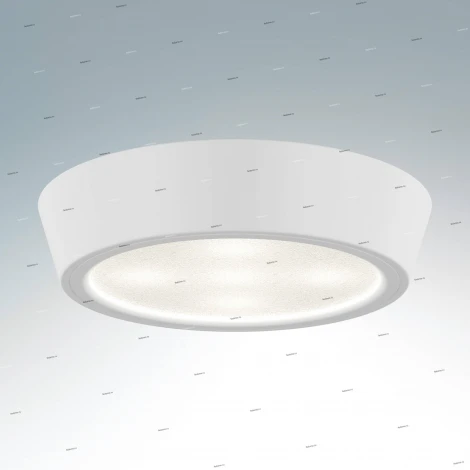 Потолочный светильник круглый Lightstar Urbano Mini 214704 (LED, 220V, IP65)