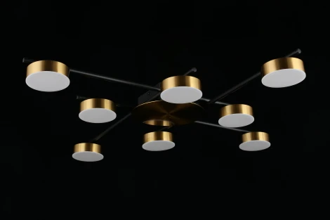 Потолочная люстра на штанге Aployt Delayn APL.042.07.56 (LED, 220V, круглые)