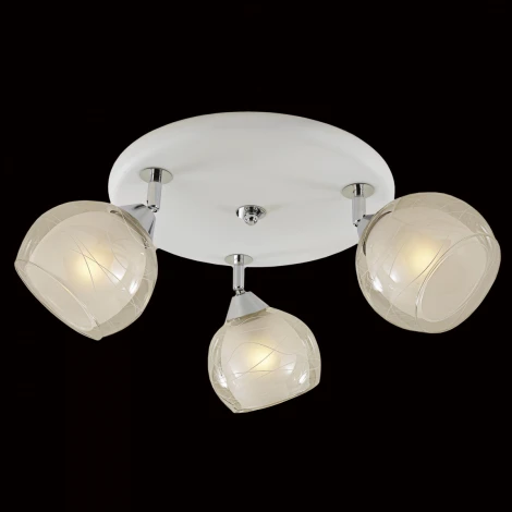 Потолочная люстра Citilux Самба CL158131 (220V)