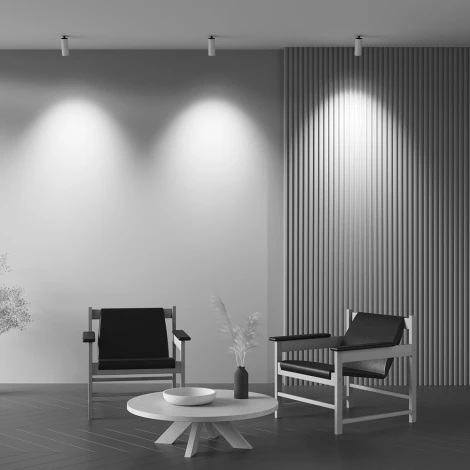 Встраиваемый светильник Maytoni Focus Led C053CL-L12W2.7K-W-W (220V, круглые)