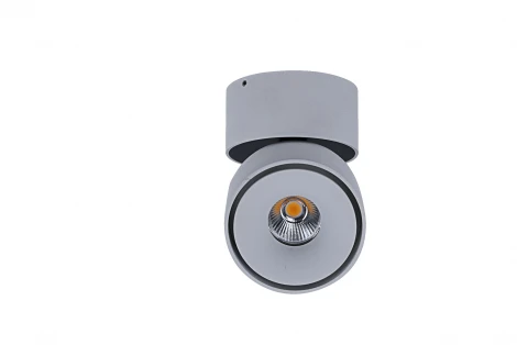 Накладной точечный светильник DesignLed WL T003112-MZ-12-WH-WW