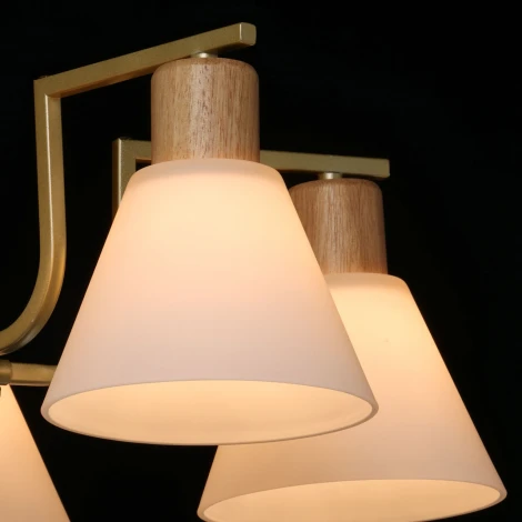 Потолочная люстра на штанге De City Дэла 635016505 (220V)