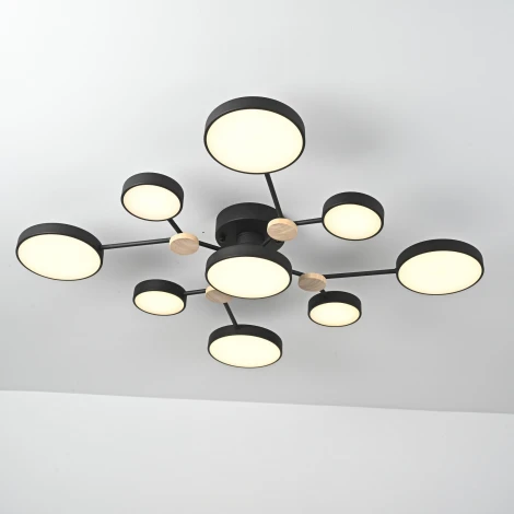 Потолочная люстра с пультом на штанге LED Lu Carte LC-11-1721