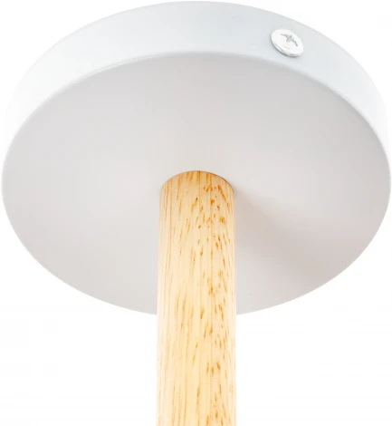 Потолочная люстра на штанге Ritter Volante 52596 7