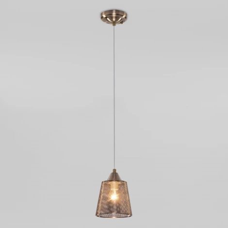 Подвесной светильник Eurosvet Ollie 50016/1