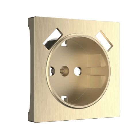 Накладка для розетки USB (шампань рифленый) Werkel W1179510 (a051422)