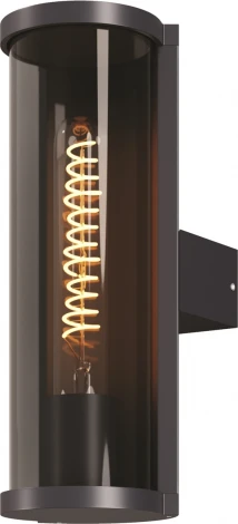 Настенный уличный светильник Maytoni Conf O451WL-01GF (220V, круглые, IP54)