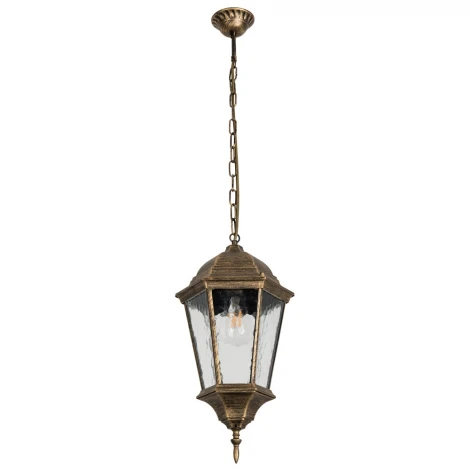 Уличный светильник подвесной Arte Lamp Genova A1204SO-1BN