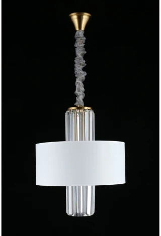 Подвесная люстра Aployt Karola APL.841.13.04 (220V, на цепи, круглые)