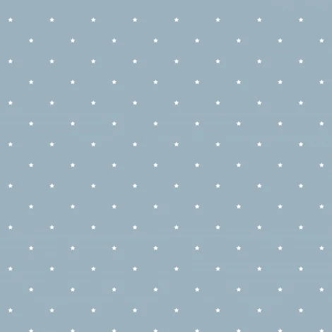 Рулонные обои Jack'n Rose Junior JR1104