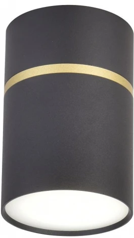 Точечный светильник накладной Favourite Dunia 3068-1C (220V, круглые)